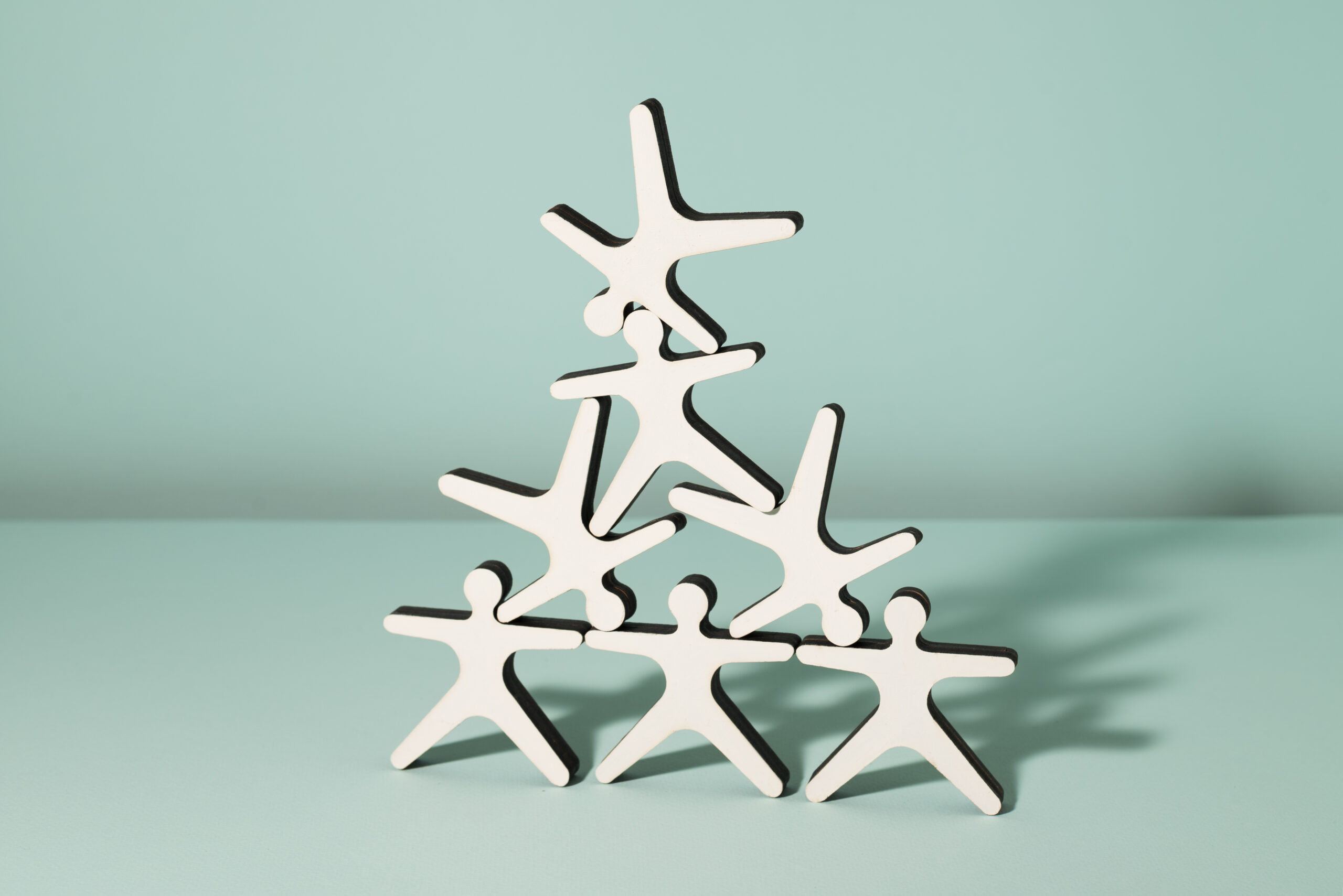 fuzja warmie polmedi