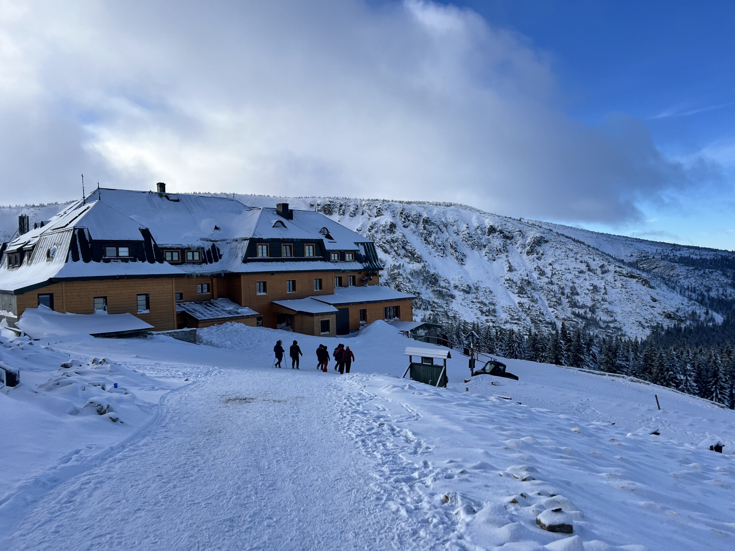 konsylium chirurgiczne chicamp